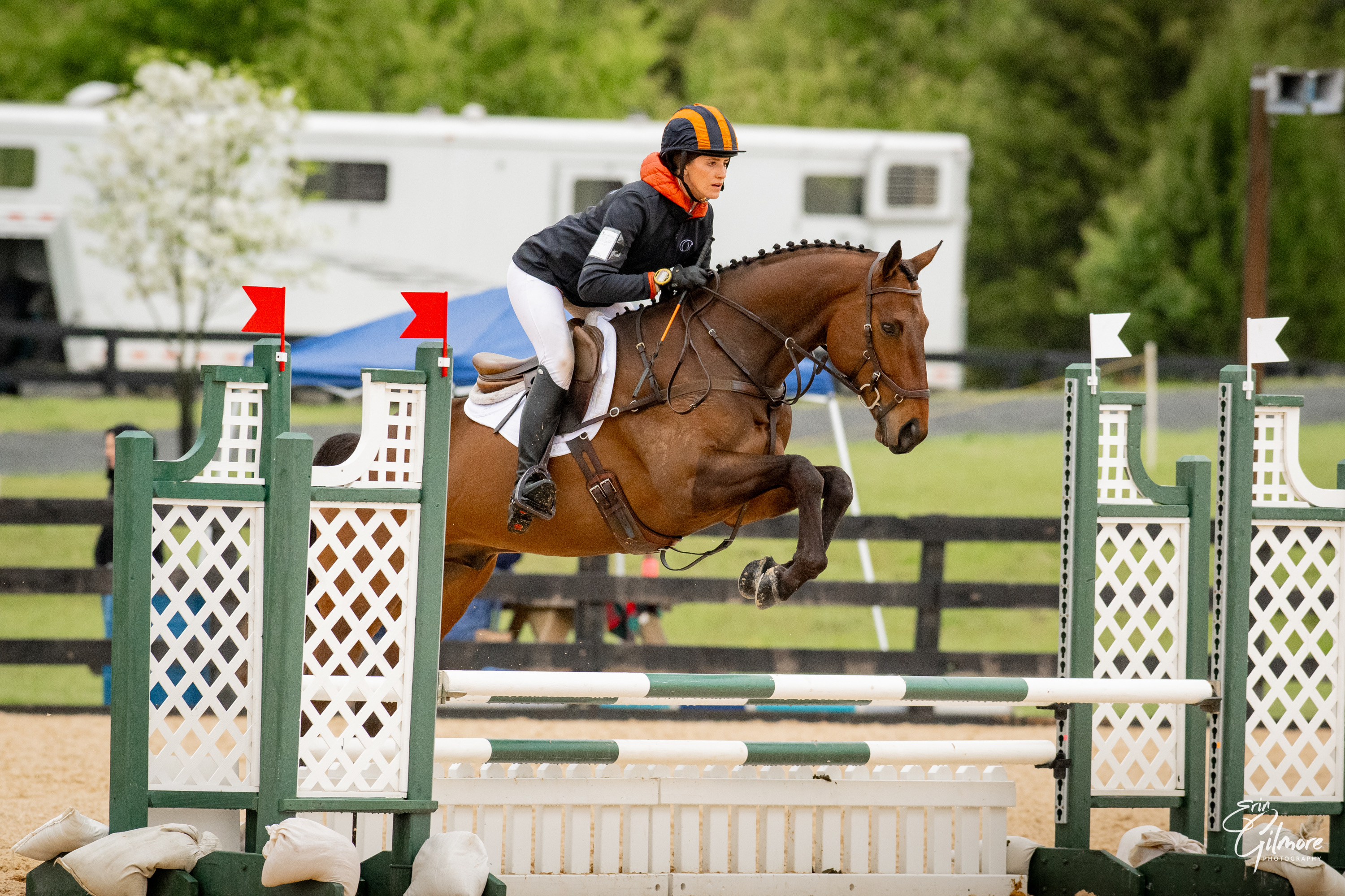 Hillary Zigo on a dark bay horse at an equestrian event