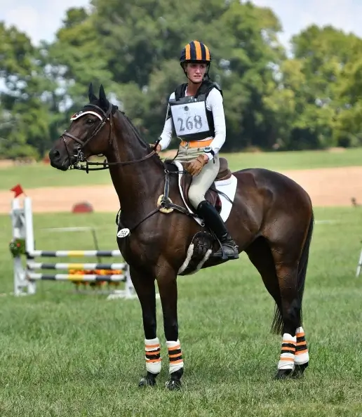 Hillary Zigo on a dark bay horse at an equestrian event